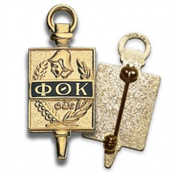 Goldtone Key Pin - Pin Back
