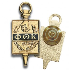 Goldtone Key Pin - Lapel Back