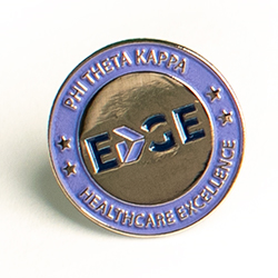 Healthcare Excellence Edge Lapel Pin