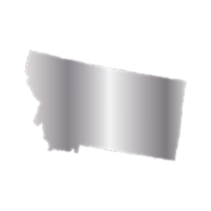 Titanium State Charm - Montana
