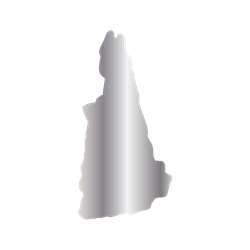 Titanium State Charm - New Hampshire