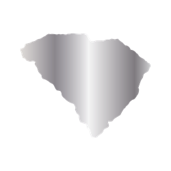 Titanium State Charm - South Carolina